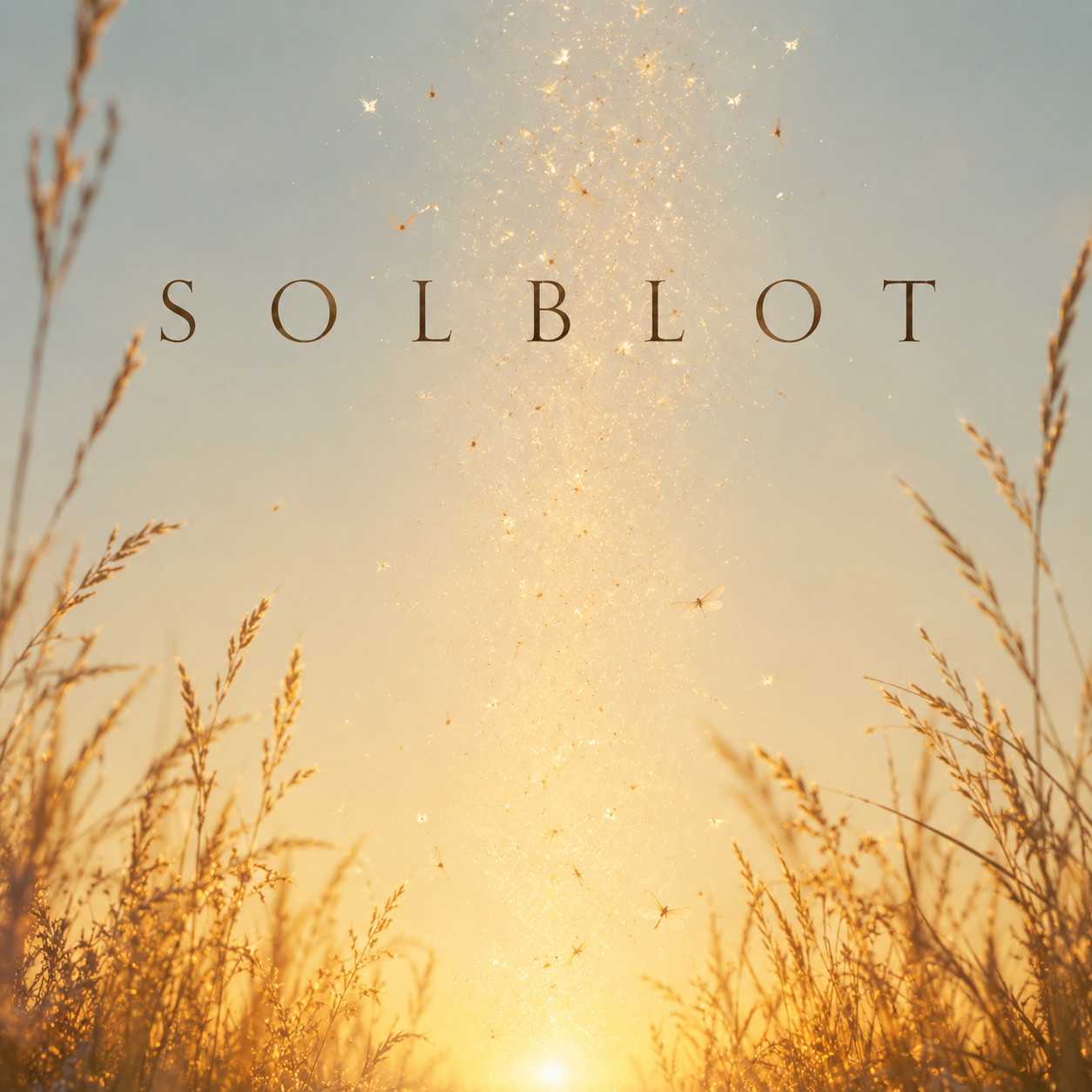 SOLBLOT album cover